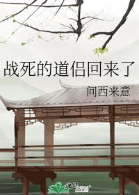 战死的道侣回来了 问西来意