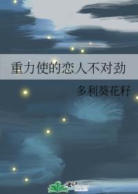 重力使被加载剧本后番外