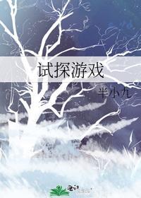 试探游戏by