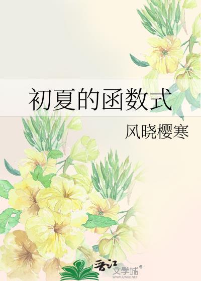 初中函数怎么写