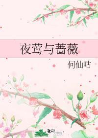 夜莺与蔷薇原文