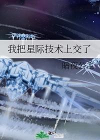 我把星际技术上交了TXT