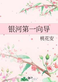 银河第一向导免费阅读全文