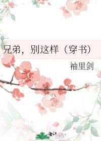 兄弟别这样穿书袖里剑番外