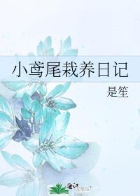 小鸢尾栽养日记讲什么