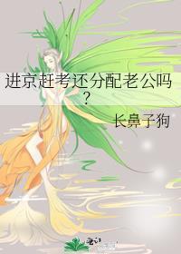 进京赶考还分配老公吗?全文阅读