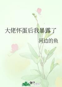 大佬怀了我的孩子后跑了