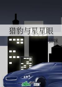 猎豹的眼线