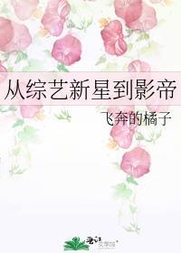 从综艺到巨星全文免费阅读