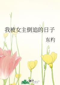 我被女主倒追的日子全文