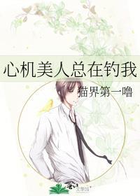 心机美人总在钓我免费阅读完整