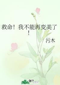 红楼花影