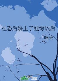 c了后妈
