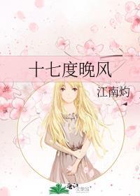 十七度晚风TXT