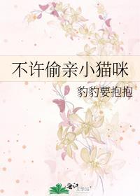 不许偷亲小猫咪免费完结