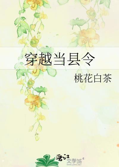 穿越当了一个小县令