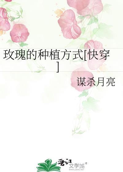玫瑰是怎样种的