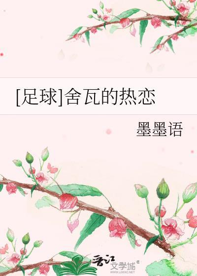 足球舍瓦的热恋by