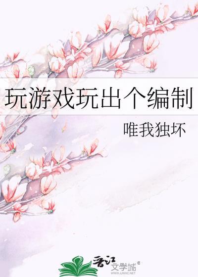 玩游戏玩出个编制全文