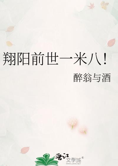 翔阳高中原型
