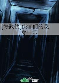 综武侠侠客们的反穿日常笔趣阁