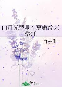 白月光替身逃婚后