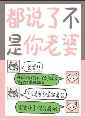 都说了不是你老婆歌词