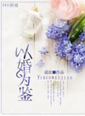 以婚为鉴免费阅读