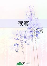 夜雾村庄百度百科