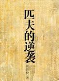 匹夫的逆袭txt校对版