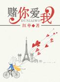 我赌你爱我可是我输了歌词