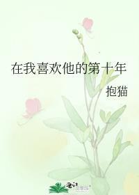 喜欢他那十年
