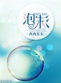 泡沫箱里的蜜蜂已清理
