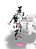 为魔师表讲的什么