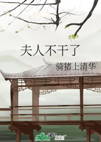 夫人不干了火烧花果山书评