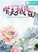 贤夫啥意思