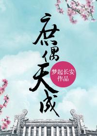 假偶天成 电视剧