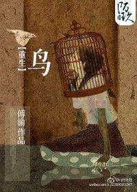 重生之鸟番外