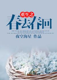 重生之春怀txt