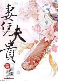 妻凭夫贵讲的什么故事