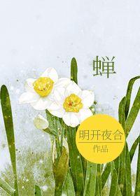 蝉翼