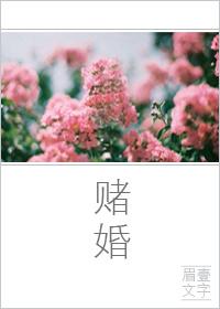赌婚姻的人