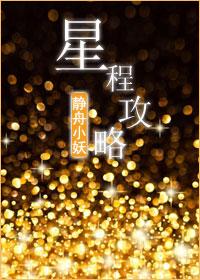 星程攻略讲什么