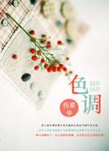 色调色温怎么调