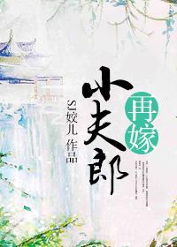 再嫁小夫郎txt微盘