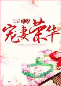 宠妻荣华慕容南番外