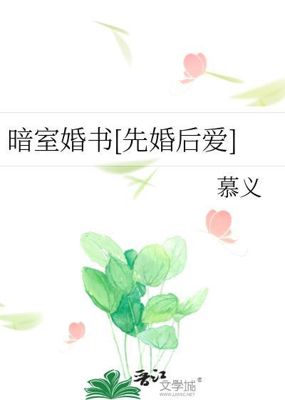 暗室的意思