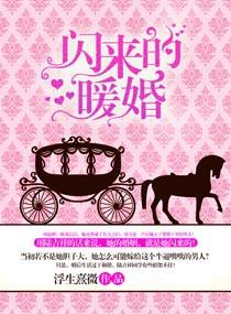 闪来的宠婚txt