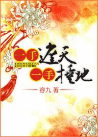 一手遮天一手捶地故事梗概