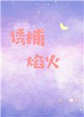 诱捕焰火 番外